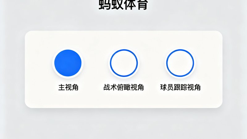 蚂蚁体育高清直播中心界面，展示足球比赛多机位切换功能，画面包含主视角、战术俯瞰视角和球员跟踪视角的切换按钮，界面简洁直观